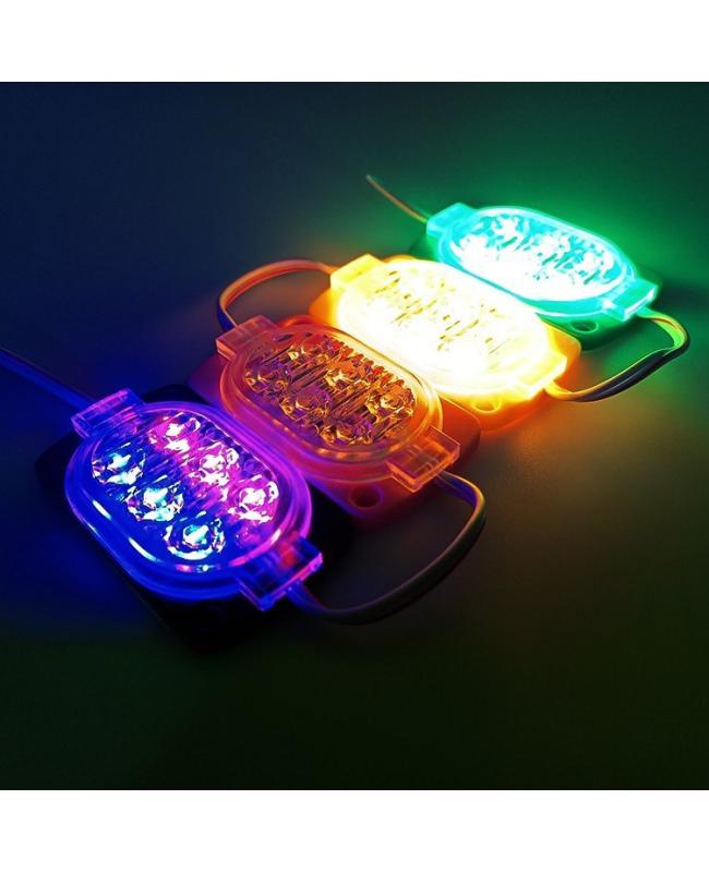 12 LED Module