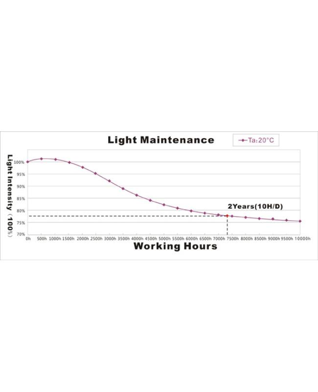 12V LED Light Module