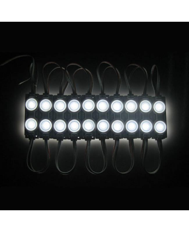 LED Module Light