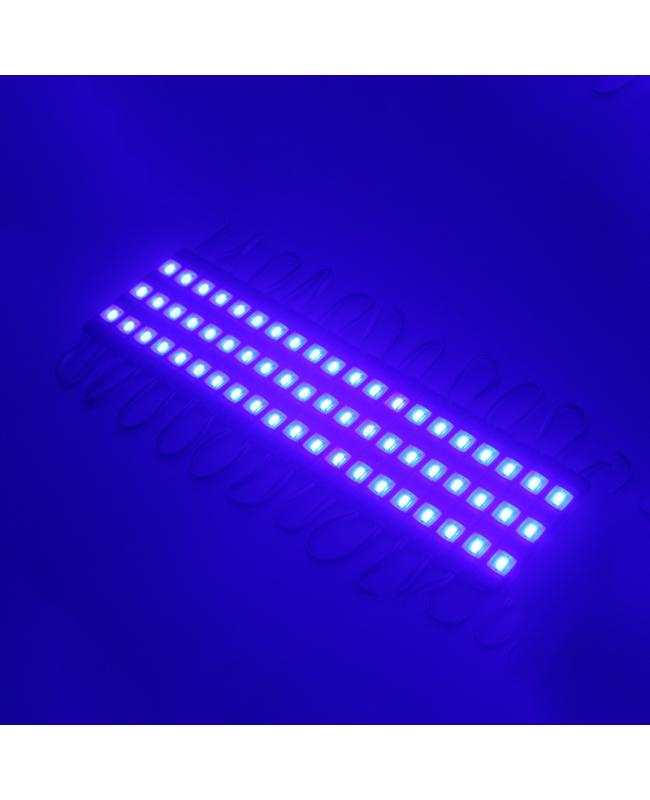 SMD LED Module 12V