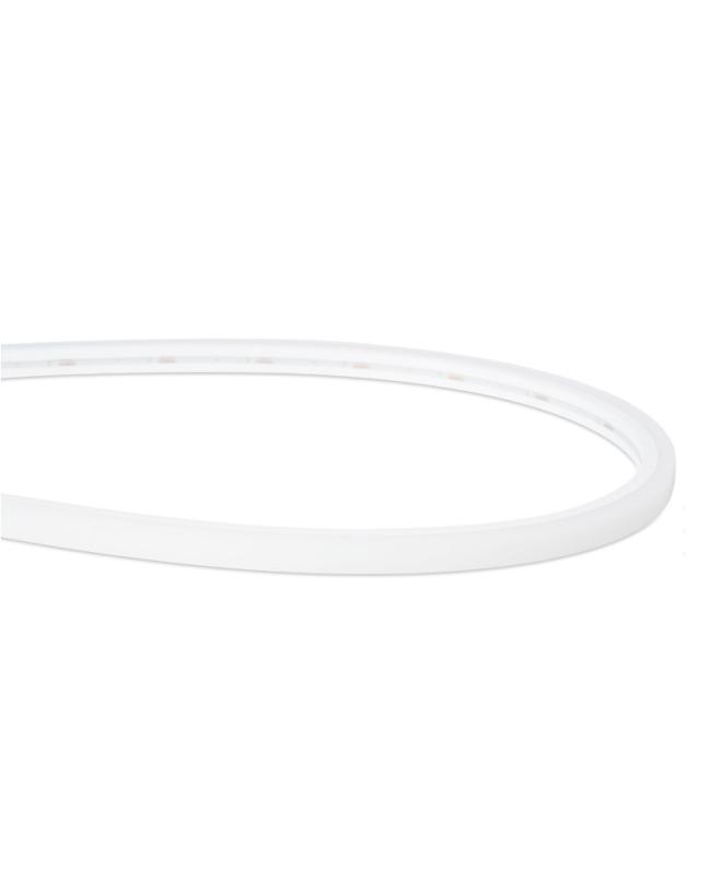 Neon Flexible Strip Light 5M