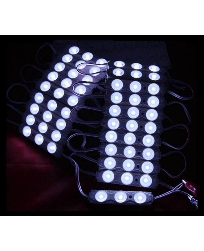 White LED Light Module